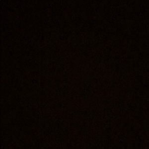 Meet your Posher, Paige